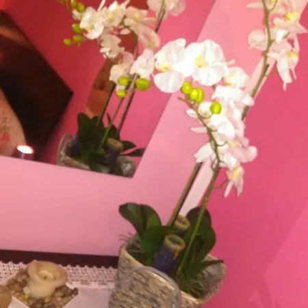 فندق مبيت وإفطار San Vitale